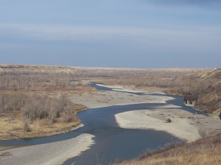 Riparian habitat of old growth cottonwood forest, southern Alberta 