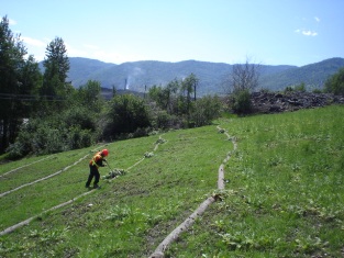 Hand weeding, June 2006 