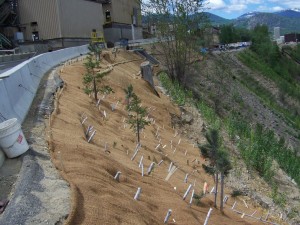 Coir matting placed on critical area at top of slope, spring 2008