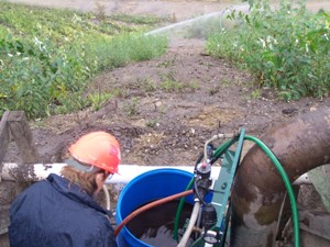 Injection of compost tea into irrigation system